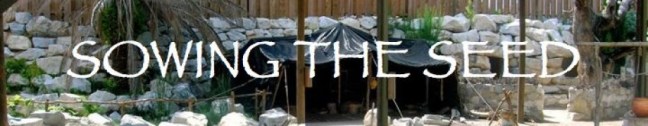 Sowing the Seed