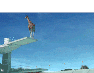 A Giraffe flipping off a diving board like a professional diver.