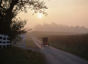 A scene of an Amish Buggy on a rural road in Lancaster County Pennsylvania.